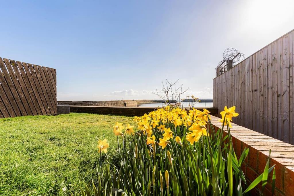 Stunning Ground Floor Hartlepool Marina Apartment Exteriér fotografie